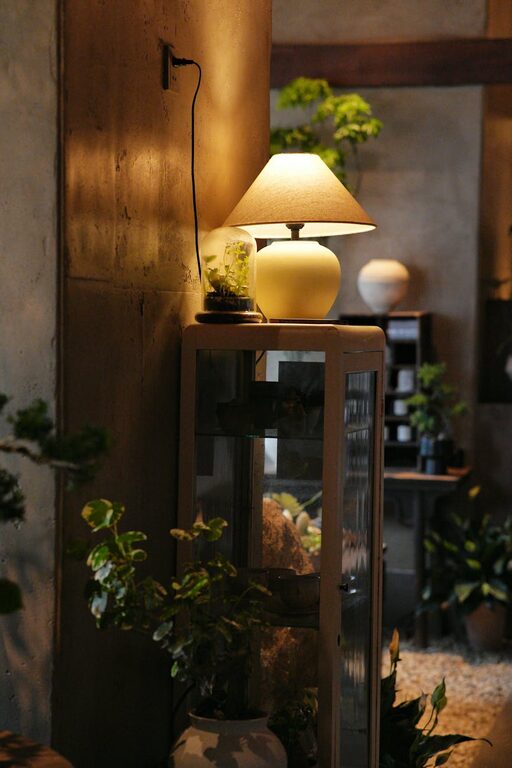 How to Refresh Your Home with Plants: A Simple Guide